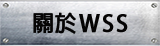 關於WSS